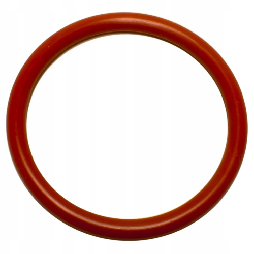 oring frymaster.png